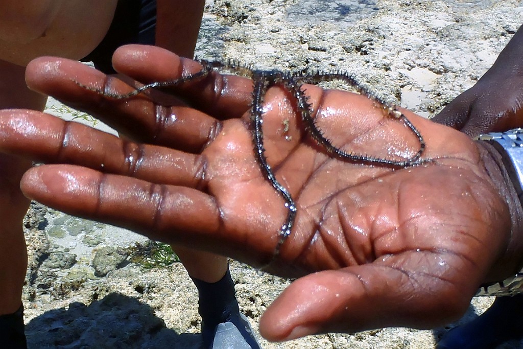 Kenia (537).jpg